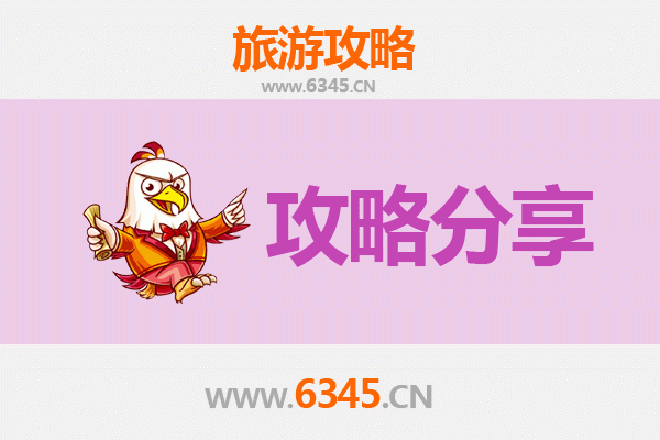 泉州丰泽旅游攻略：跟团与自由行深度对比